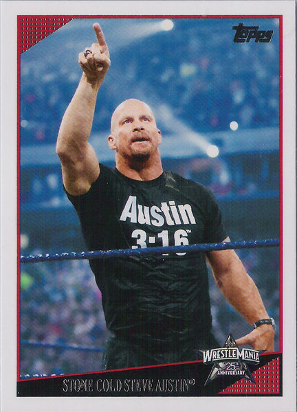 2009 Topps WWE #89 Stone Cold Steve Austin Wrestling